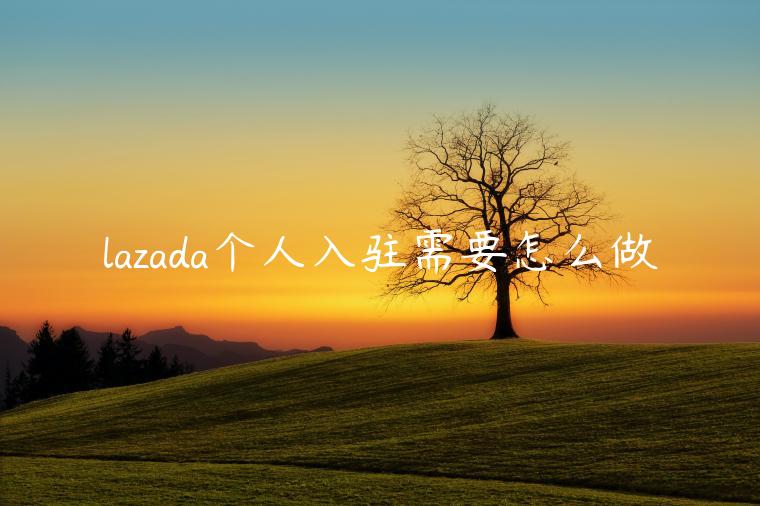 lazada個(gè)人入駐需要怎么做